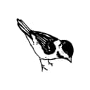 Birdies