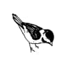 Birdies