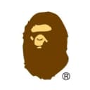 INT.BAPE.COM