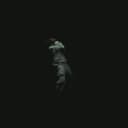 NFRealMusic